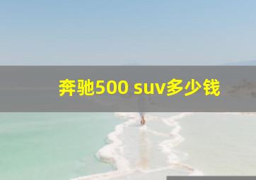 奔驰500 suv多少钱